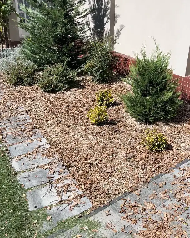 A gravel garden bed with small evergreens and the stone paths beside it, all buried under a thick layer of dry brown leaves